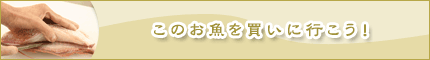 このお魚を買いに行こう！